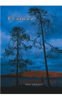 Erämaa