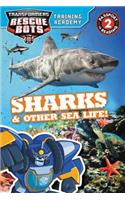 Transformers Rescue Bots: Training Academy: Sharks & Other Sea Life!