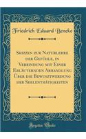 Skizzen Zur Naturlehre Der Gefï¿½hle, in Verbindung Mit Einer Erlï¿½uternden Abhandlung ï¿½ber Die Bewusztwerdung Der Seelenthï¿½tigkeiten (Classic Reprint)