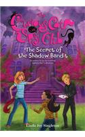 Secret of the Shadow Bandit