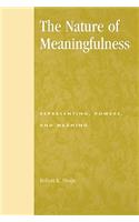 The Nature of Meaningfulness