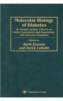 Molecular Biology of Diabetes, Part II
