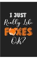 I Just Really Like Foxes Ok?: 120 Blank Lined Page Softcover Notes Journal - College Ruled Composition Notebook - 6x9 Blank Line - Fox Lovers Notebooks