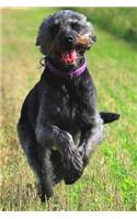 Notebook Of A Dog Lover - Happy Labradoodle