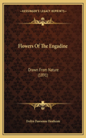 Flowers Of The Engadine: Drawn From Nature (1891)