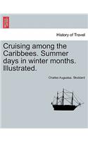 Cruising Among the Caribbees. Summer Days in Winter Months. Illustrated.