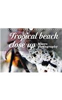 Tropical Beach Close-Up Macro Photography 2017