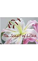 The Scent of Lilies 2018: Portraits and Still Lifes of Lilies(Calvendo Nature)