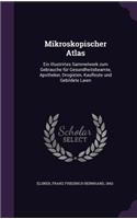 Mikroskopischer Atlas: Ein Illustrirtes Sammelwerk zum Gebrauche für Gesundheitsbeamte, Apotheker, Drogisten, Kaufleute und Gebildete Laien(English)