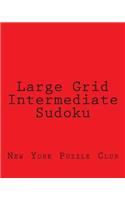 Large Grid Intermediate Sudoku