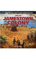 Life in Jamestown Colony: (What You Didn't Know about History)