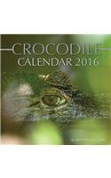 Crocodile Calendar 2016: 16 Month Calendar