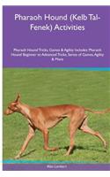Pharaoh Hound (Kelb Tal-Fenek) Activities Pharaoh Hound Tricks, Games & Agility. Includes: Pharaoh Hound Beginner to Advanced Tricks, Series of Games, Agility and More