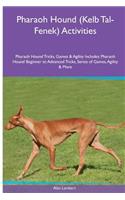 Pharaoh Hound (Kelb Tal-Fenek) Activities Pharaoh Hound Tricks, Games & Agility. Includes