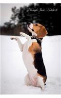 Beagle June Notebook Beagle Record, Log, Diary, Special Memories, to Do List, Academic Notepad, Scrapbook & More