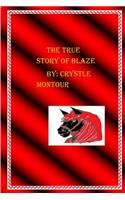 The true Story of Blaze