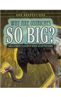 Why Are Ostriches So Big?: And Other Curious Bird Adaptations(Odd Adaptations)