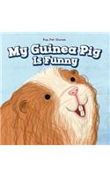 My Guinea Pig Is Funny