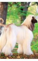 Afghan Hound 5th Notebook Record Journal, Diary, Special Memories, To Do List, Academic Notepad, and Much More