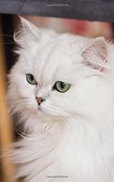Pretty White Persian Cat Journal