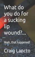 What do you do for a sucking lip wound?...