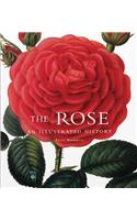 The Rose