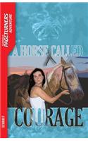 A Horse Called Courage