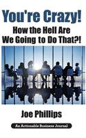 You're Crazy! How the Hell Are We Going to Do That?!