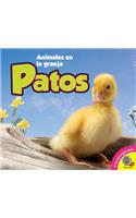 Patos, With Code