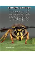 Bees & Wasps