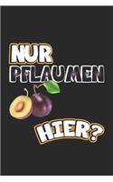 Nur Pflaumen hier?: Monatsplaner, Termin-Kalender mit lustigem Spruch - Geschenk-Idee für Komiker & Pubertierende - A5 - 120 Seiten