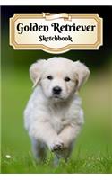 Golden Retriever Sketchbook