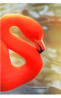 Flamingo Notebook: A5 Lined Notepad - Journal for Women, Men, Teens and Kids. A Beautiful Gift Idea for Animal Lover