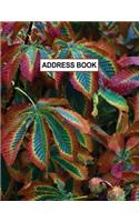 Low Vision Large Print Address and Password Record Book: Organizer for Visually Impaired 8.5" x 11" with Bold Lines 3/4" Apart Fall Colors Cover