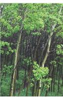 Nature Lover's Composition Notebook
