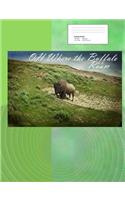 Oh Where the Buffalo Roam