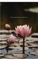 Meditation Series