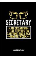 Secretary - Notebook: Lined notebook for secretarys to track all informations of daily work life for men and women