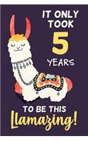 It Only Took 5 Years to Be This Llamazing!
