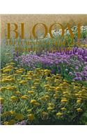 Bloom: The Luminous Gardens of Frederico Azevedo