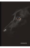 Journal Pages - Midnight Doggy (Unruled)