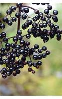 Elderberry Fruit Journal: 150 Page Lined Notebook/Diary