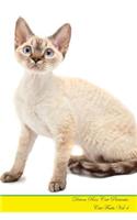 Devon Rex Cat Presents: Cat Facts Workbook. Devon Rex Cat Presents Cat Facts Workbook with Self Therapy, Journalling, Productivity Tracker with Self Therapy, Journalling, P