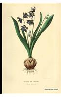Botanical Print Journal