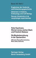 Die Muskelanordnung in Der Speiserohre