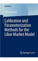 Calibration and Parameterization Methods for the Libor Market Model