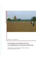 Forschungen Zum Kastell Und Vicus Von Zwentendorf Am Norischen Donaulimes