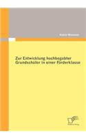 Zur Entwicklung hochbegabter Grundschüler in einer Förderklasse
