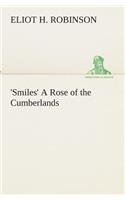 'Smiles' A Rose of the Cumberlands