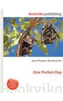 One Perfect Day